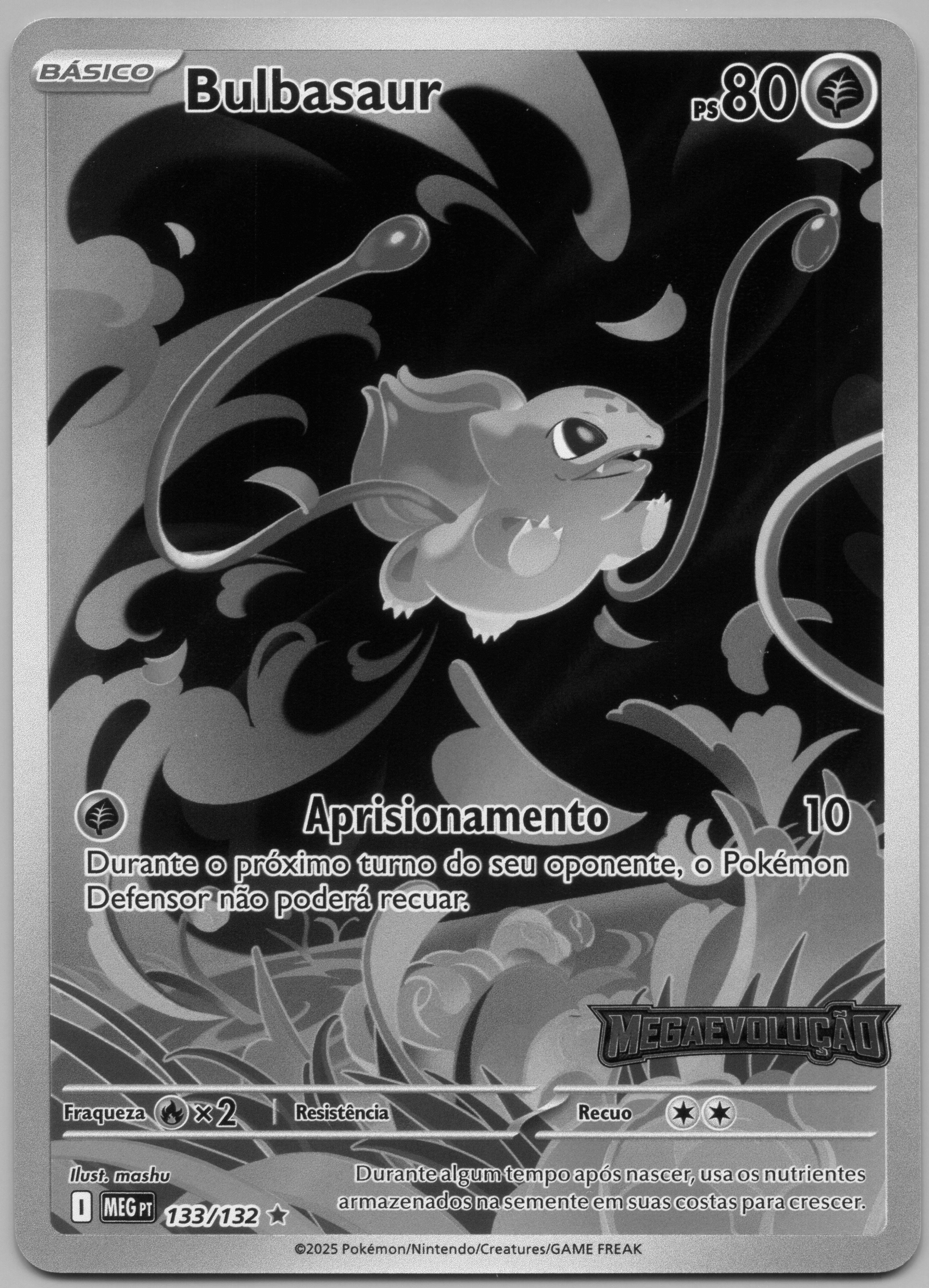 FRENTE